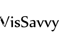 VisSavvyLogo